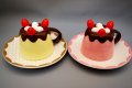 chocolat fraises プリン カップ＆ソーサー