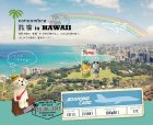 他の写真1: concombre 夏シリーズ 旅猫 in HAWAII  大きめレジャーシート　パイナップル