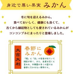 画像2: decole concombre 福みかん2023 柑橘満喫猫