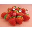 画像3: concombre STRAWBERRY20　ねこずきん　いちご (3)