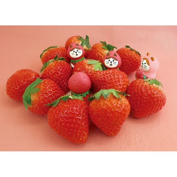 画像3: concombre STRAWBERRY20　ねこずきん　いちご (3)