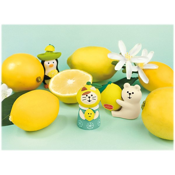画像2: concombre ふぞろいなレモンたち　2022　ねこずきんレモン (2)